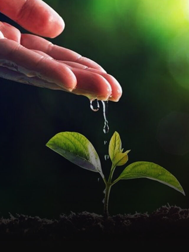 Being hopeful poster